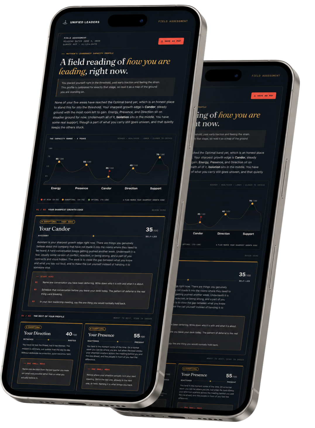 A sample Leadership Capacity Profile shown on mobile